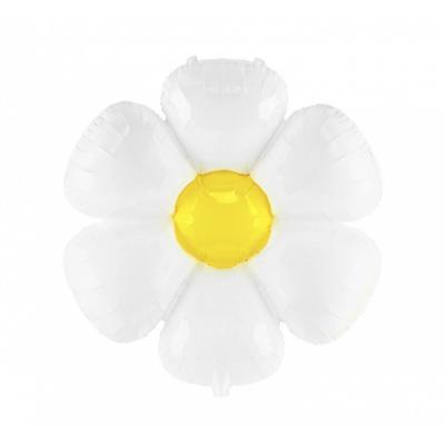 Giant Daisy
