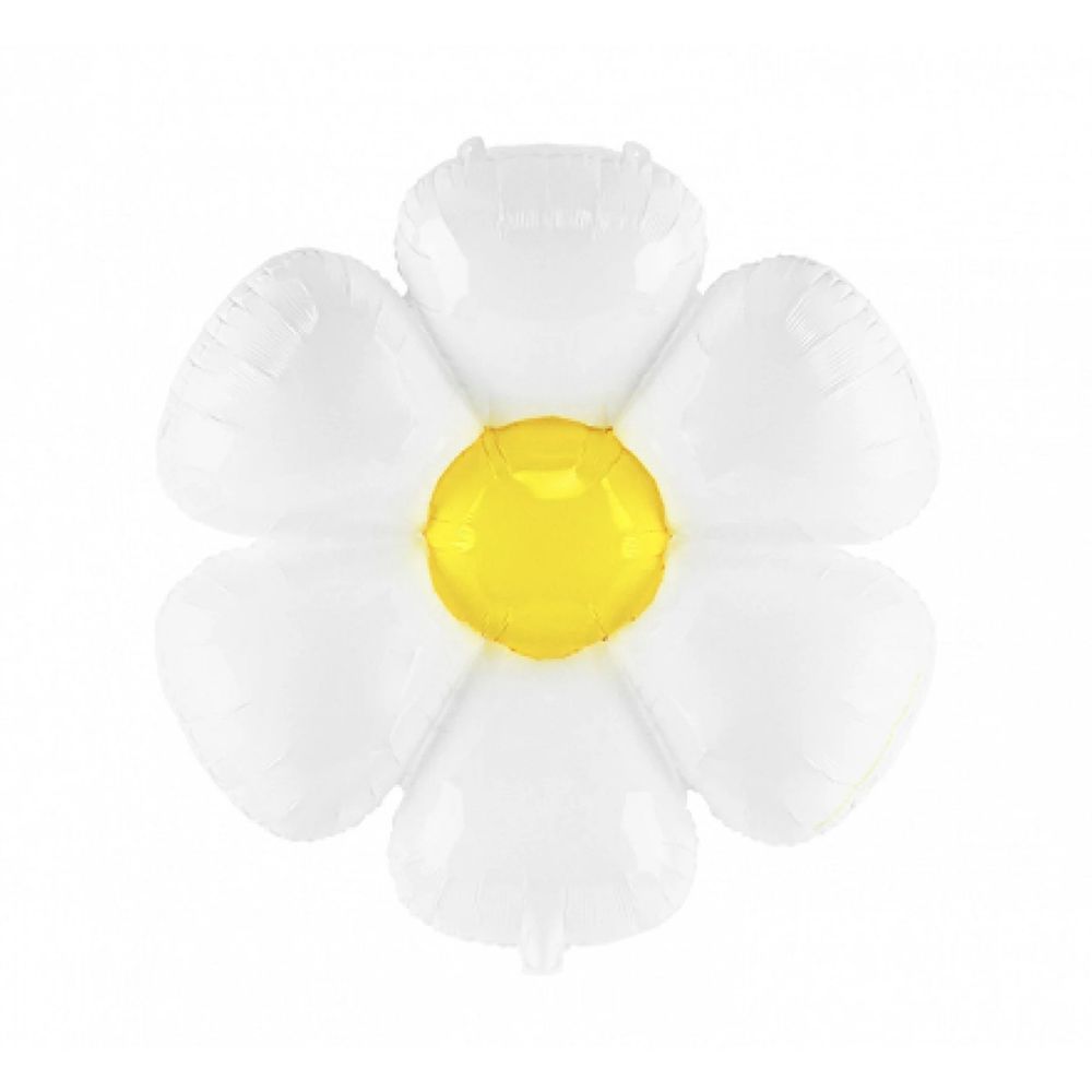 Giant Daisy