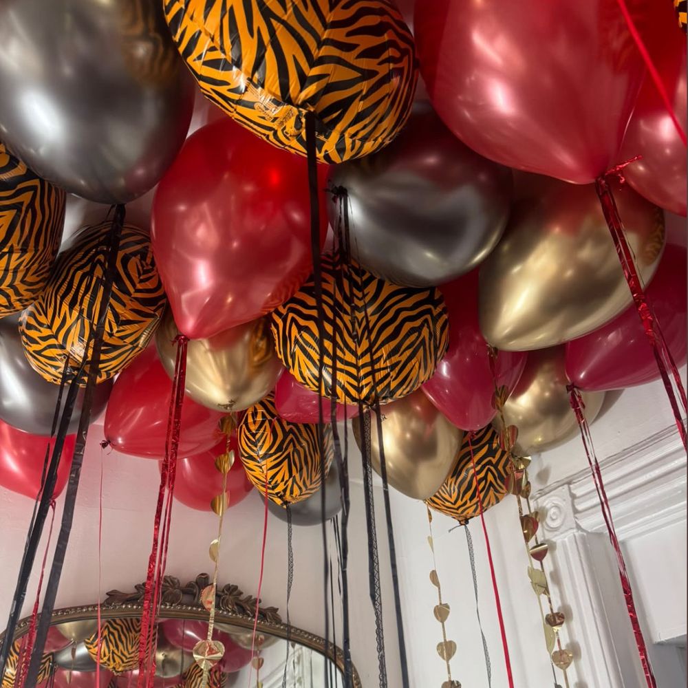 Tiger In The Room 